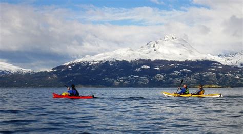 2 Beagle Channel Sea Kayaking Trips & Tours for 2024